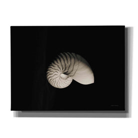 'Nautilus I' by Debra Van Swearingen, Canvas Wall Art,16x12x1.1x0,26x18x1.1x0,34x26x1.74x0,54x40x1.74x0