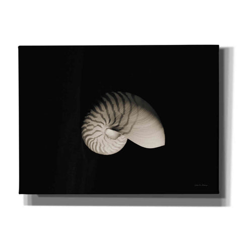 Image of 'Nautilus I' by Debra Van Swearingen, Canvas Wall Art,16x12x1.1x0,26x18x1.1x0,34x26x1.74x0,54x40x1.74x0
