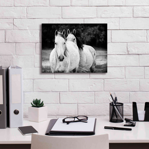 Image of 'Two Wild Horses BW' by Debra Van Swearingen, Canvas Wall Art,16 x 12