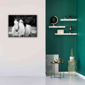 'Two Wild Horses BW' by Debra Van Swearingen, Canvas Wall Art,34 x 26