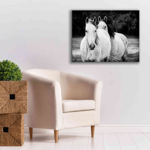 'Two Wild Horses BW' by Debra Van Swearingen, Canvas Wall Art,34 x 26