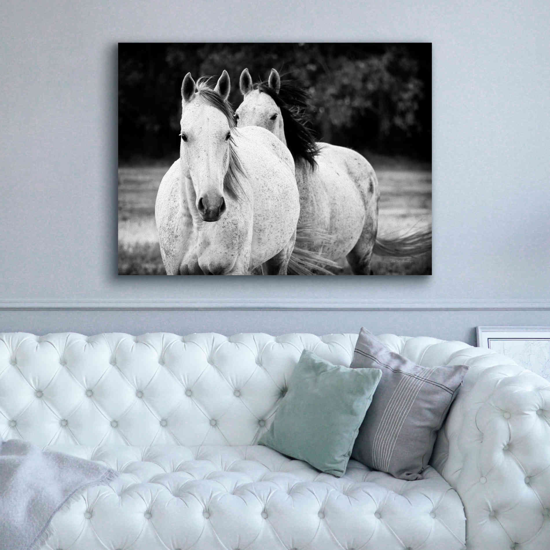 'Two Wild Horses BW' by Debra Van Swearingen, Canvas Wall Art,54 x 40