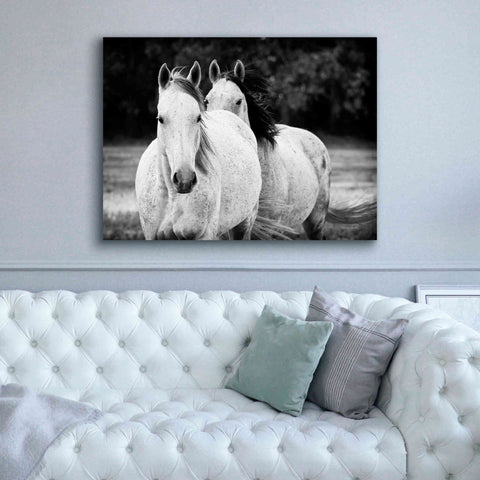 Image of 'Two Wild Horses BW' by Debra Van Swearingen, Canvas Wall Art,54 x 40
