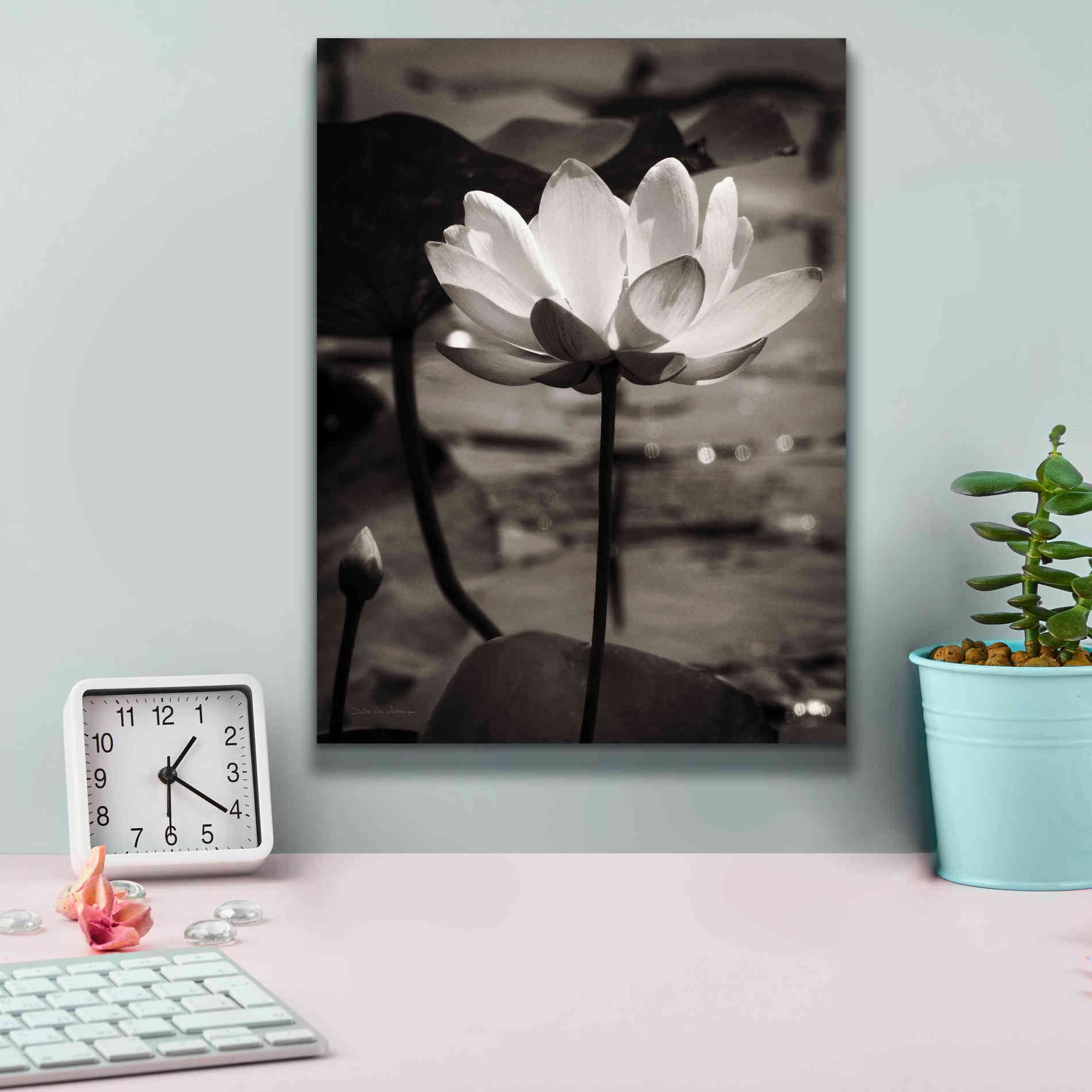 'Lotus Flower IX' by Debra Van Swearingen, Canvas Wall Art,12 x 16