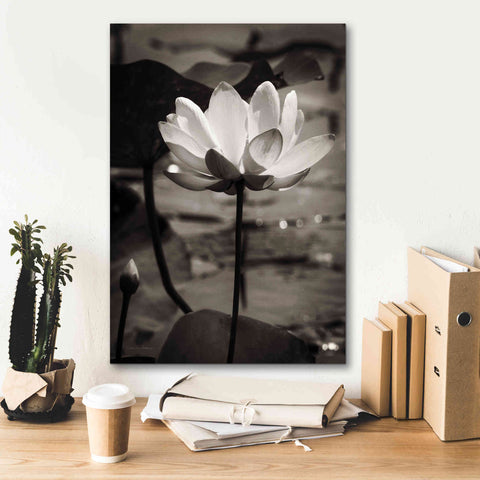 Image of 'Lotus Flower IX' by Debra Van Swearingen, Canvas Wall Art,18 x 26