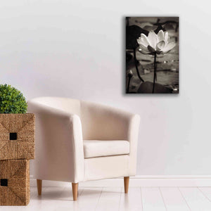 'Lotus Flower IX' by Debra Van Swearingen, Canvas Wall Art,18 x 26