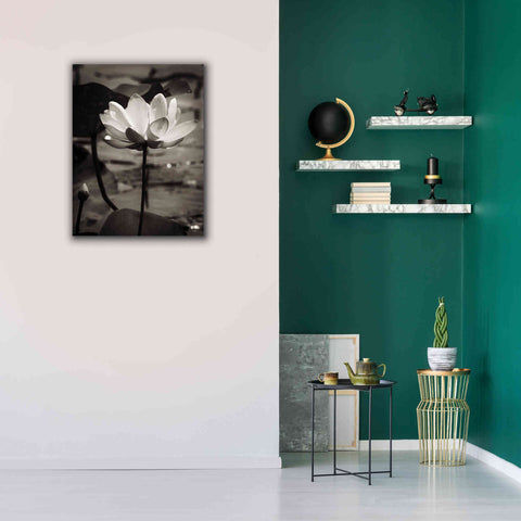 Image of 'Lotus Flower IX' by Debra Van Swearingen, Canvas Wall Art,26 x 34