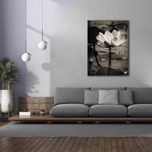 'Lotus Flower IX' by Debra Van Swearingen, Canvas Wall Art,40 x 54