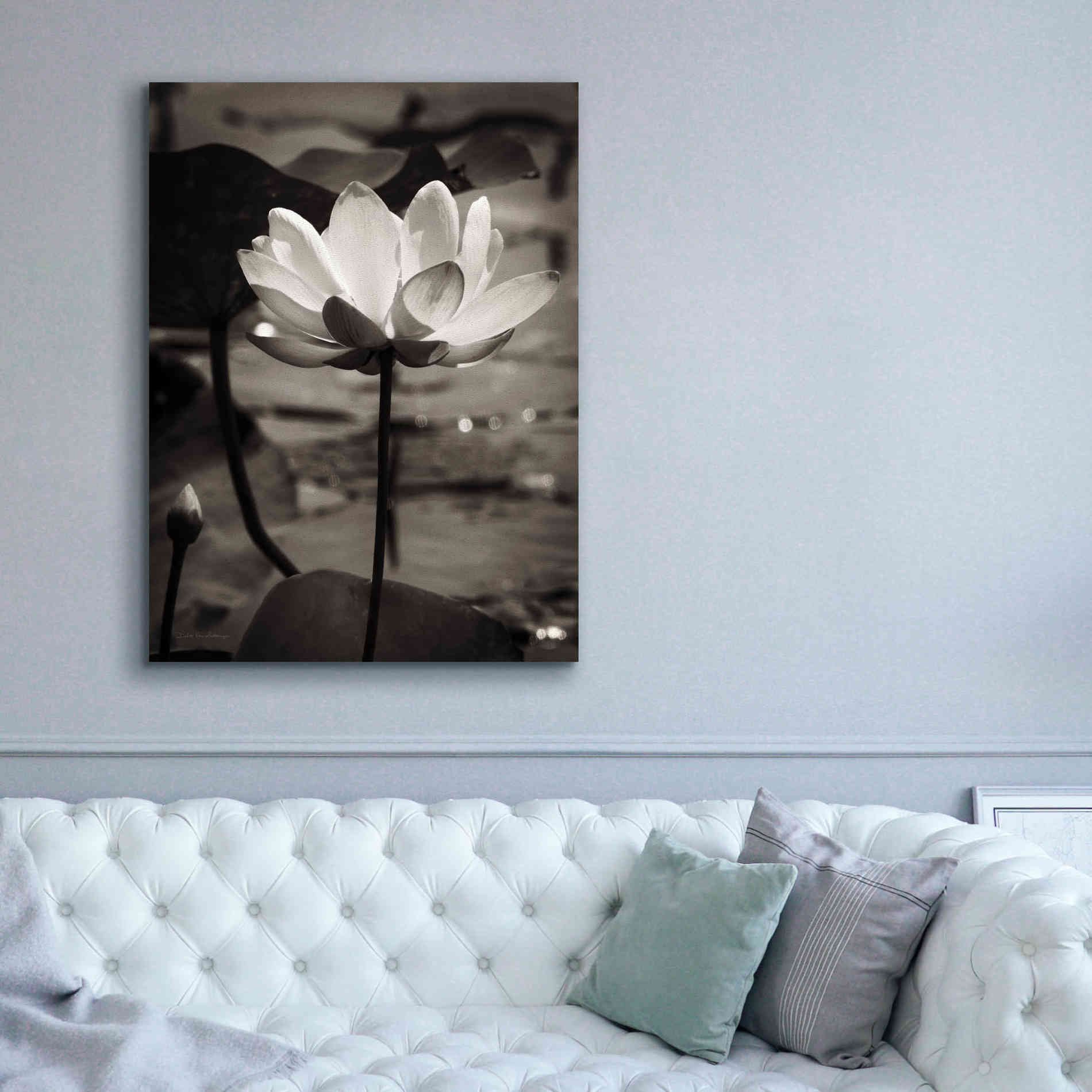'Lotus Flower IX' by Debra Van Swearingen, Canvas Wall Art,40 x 54