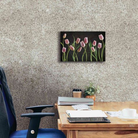 Image of 'Spring Tulips IX' by Debra Van Swearingen, Canvas Wall Art,18 x 12
