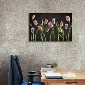 'Spring Tulips IX' by Debra Van Swearingen, Canvas Wall Art,40 x 26