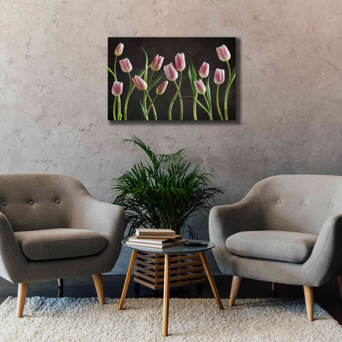 Image of 'Spring Tulips IX' by Debra Van Swearingen, Canvas Wall Art,40 x 26