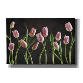 'Spring Tulips IX' by Debra Van Swearingen, Canvas Wall Art,18x12x1.1x0,26x18x1.1x0,40x26x1.74x0,60x40x1.74x0
