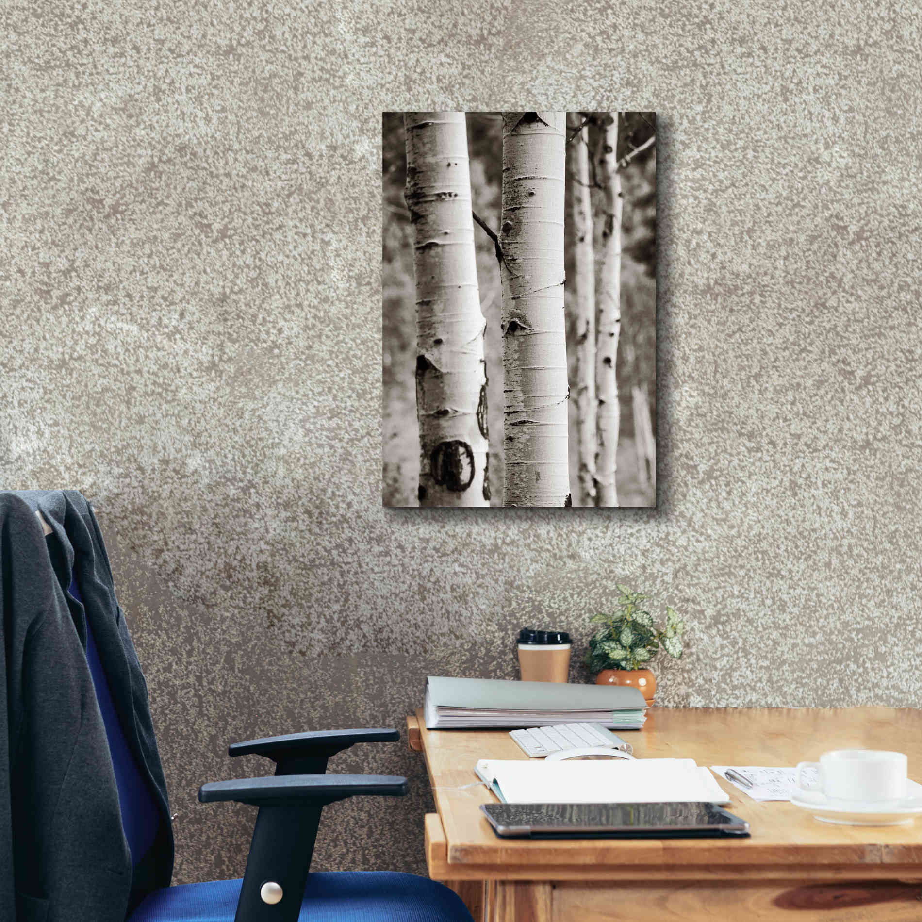 'Aspens I' by Debra Van Swearingen, Canvas Wall Art,18 x 26