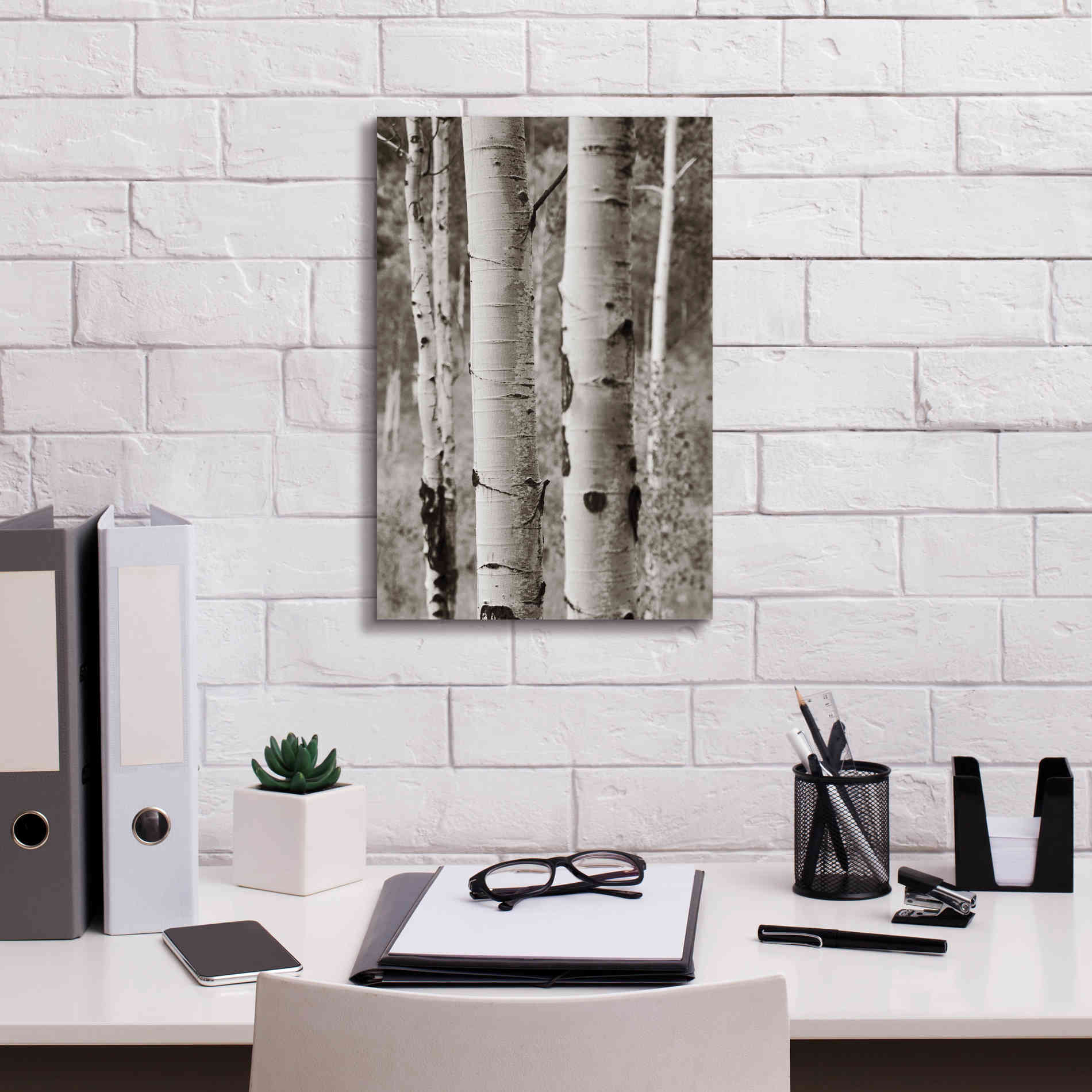 'Aspens II' by Debra Van Swearingen, Canvas Wall Art,12 x 18