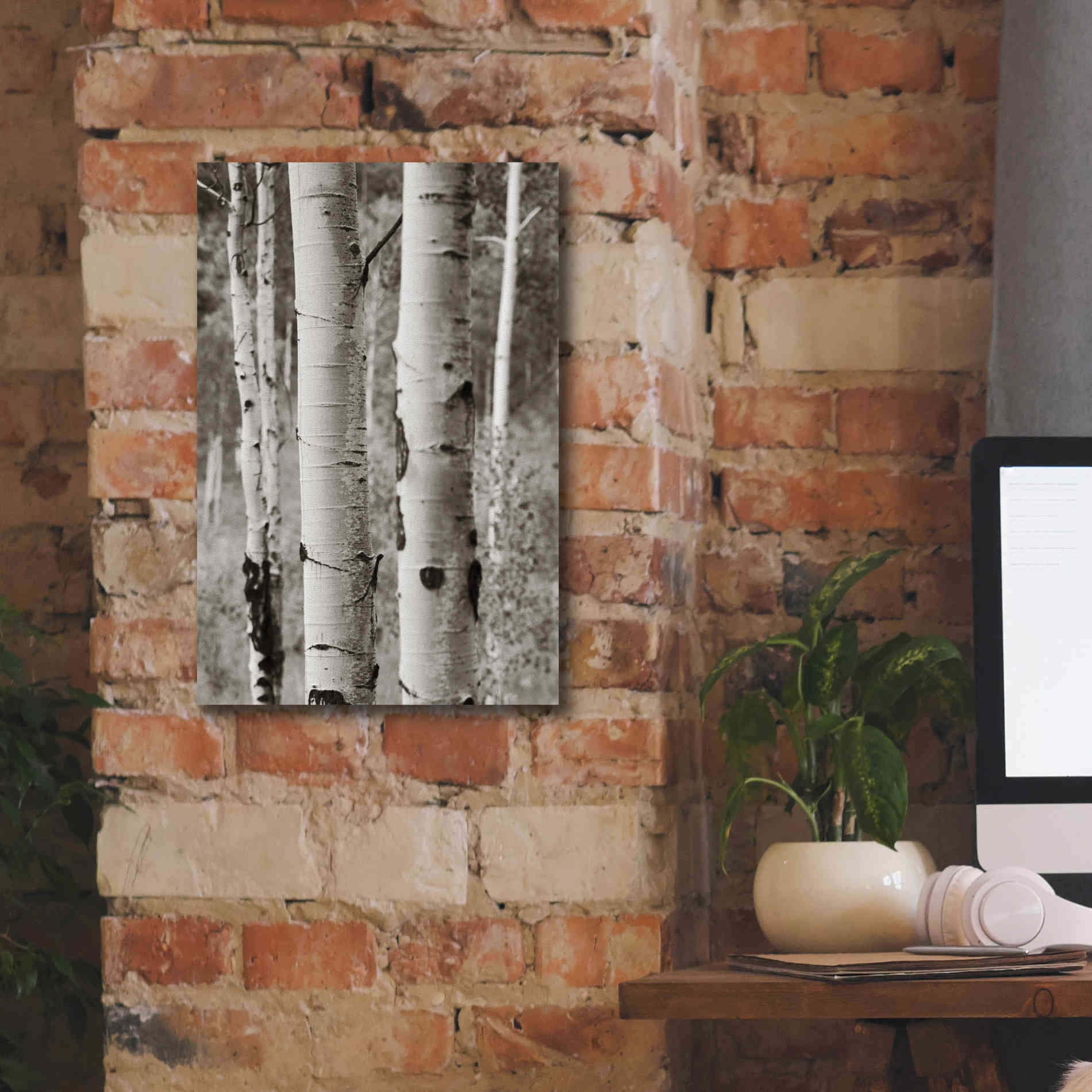 'Aspens II' by Debra Van Swearingen, Canvas Wall Art,12 x 18