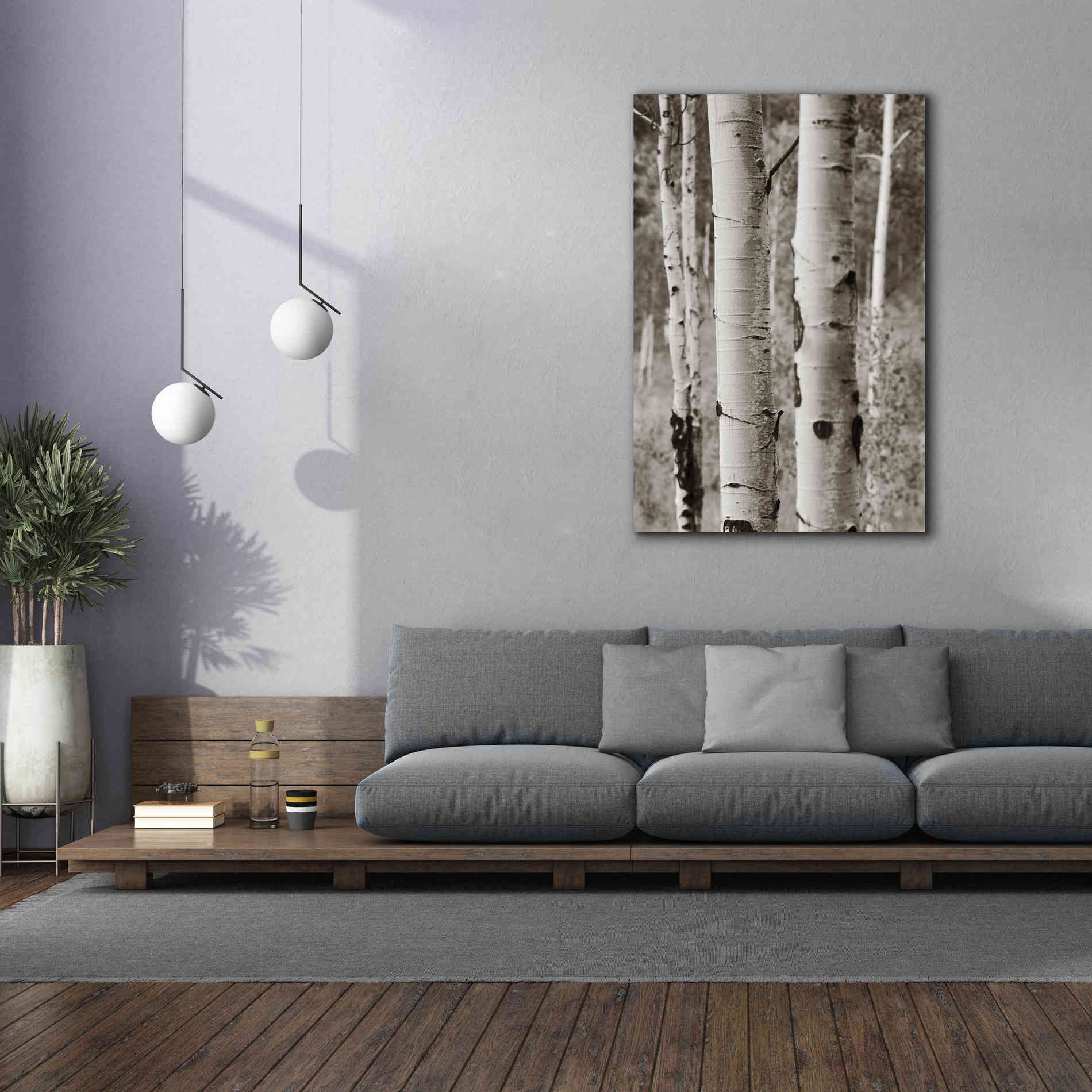 'Aspens II' by Debra Van Swearingen, Canvas Wall Art,40 x 60