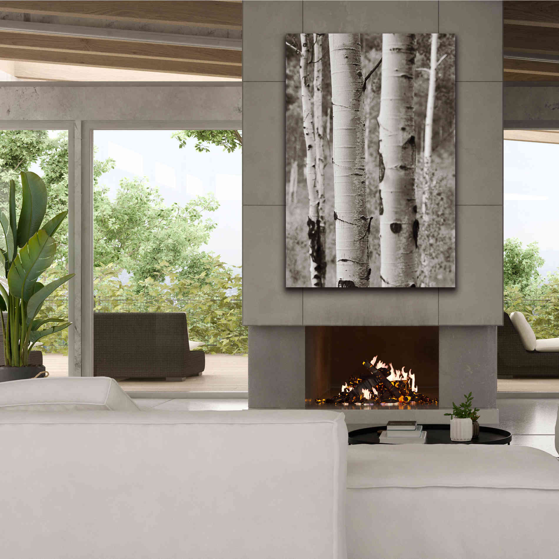 'Aspens II' by Debra Van Swearingen, Canvas Wall Art,40 x 60