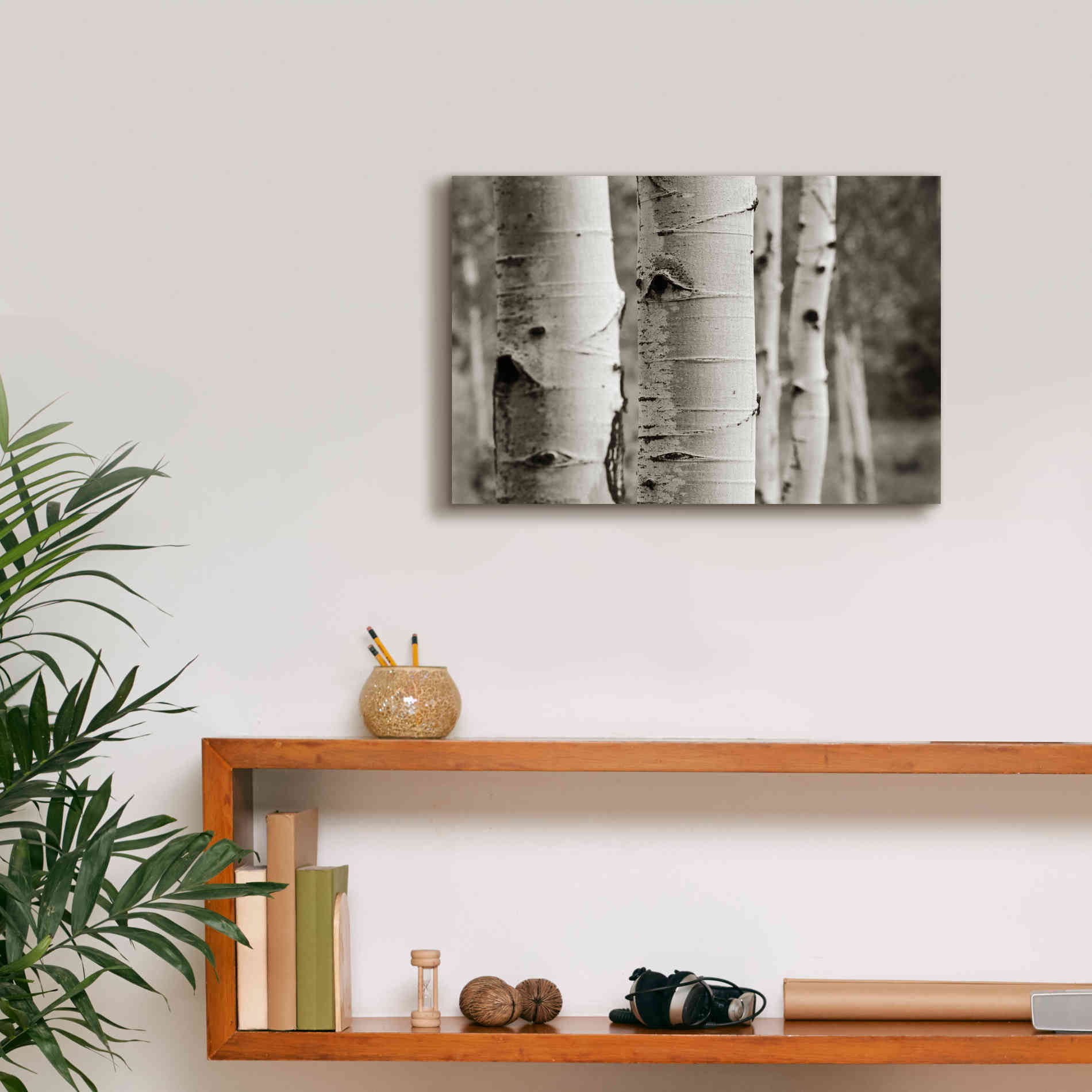 'Aspens III' by Debra Van Swearingen, Canvas Wall Art,18 x 12