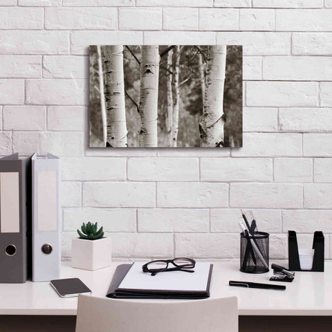 Image of 'Aspens IV' by Debra Van Swearingen, Canvas Wall Art,18 x 12