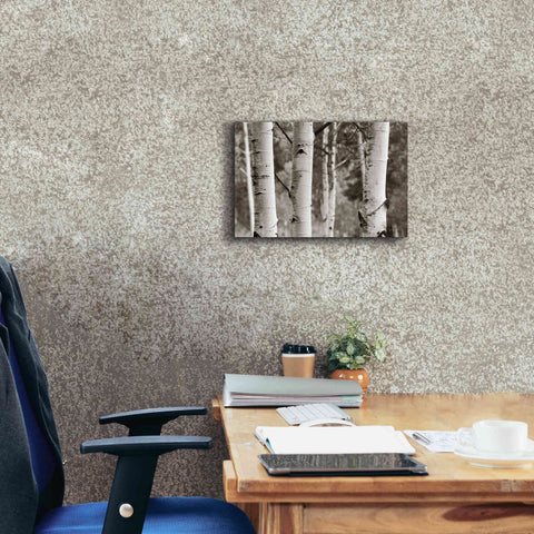 Image of 'Aspens IV' by Debra Van Swearingen, Canvas Wall Art,18 x 12