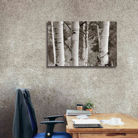 Image of 'Aspens IV' by Debra Van Swearingen, Canvas Wall Art,40 x 26