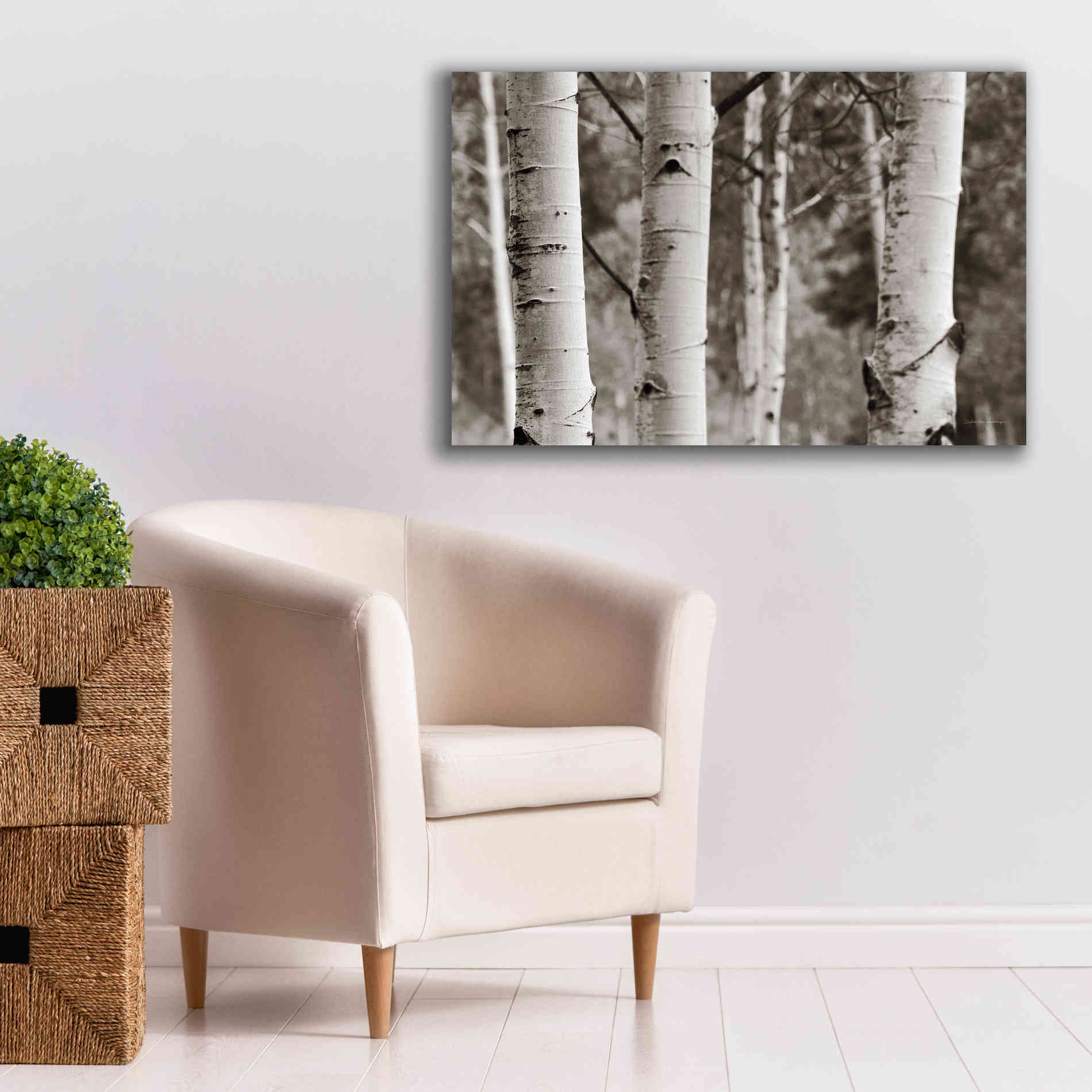 'Aspens IV' by Debra Van Swearingen, Canvas Wall Art,40 x 26