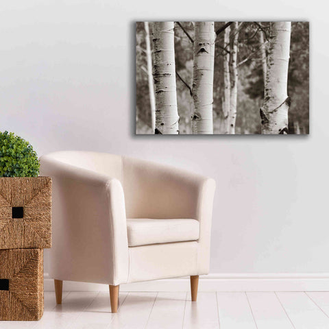 Image of 'Aspens IV' by Debra Van Swearingen, Canvas Wall Art,40 x 26