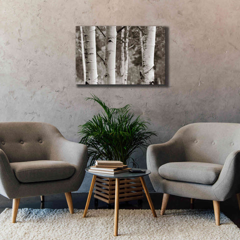 Image of 'Aspens IV' by Debra Van Swearingen, Canvas Wall Art,40 x 26