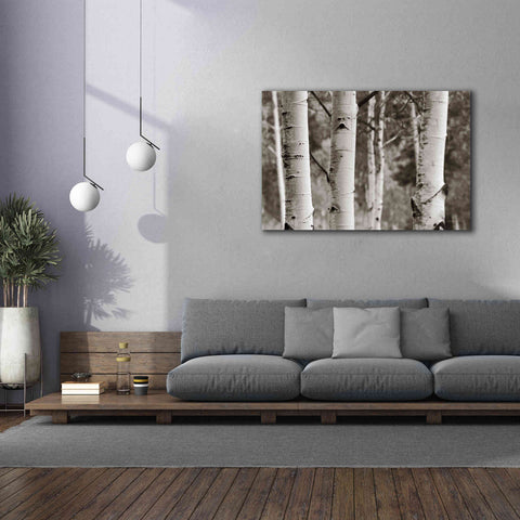 Image of 'Aspens IV' by Debra Van Swearingen, Canvas Wall Art,60 x 40