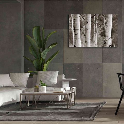 Image of 'Aspens IV' by Debra Van Swearingen, Canvas Wall Art,60 x 40