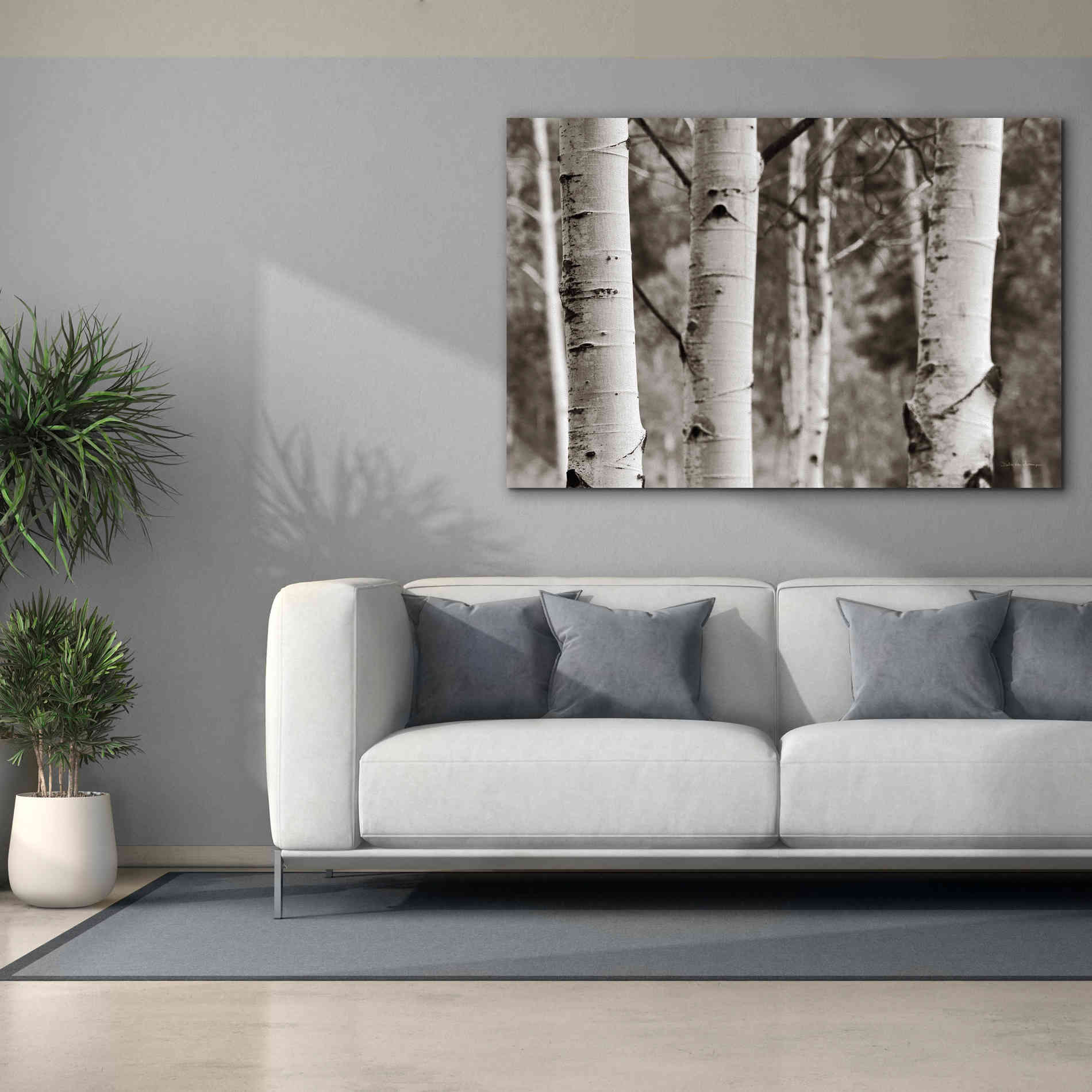 'Aspens IV' by Debra Van Swearingen, Canvas Wall Art,60 x 40