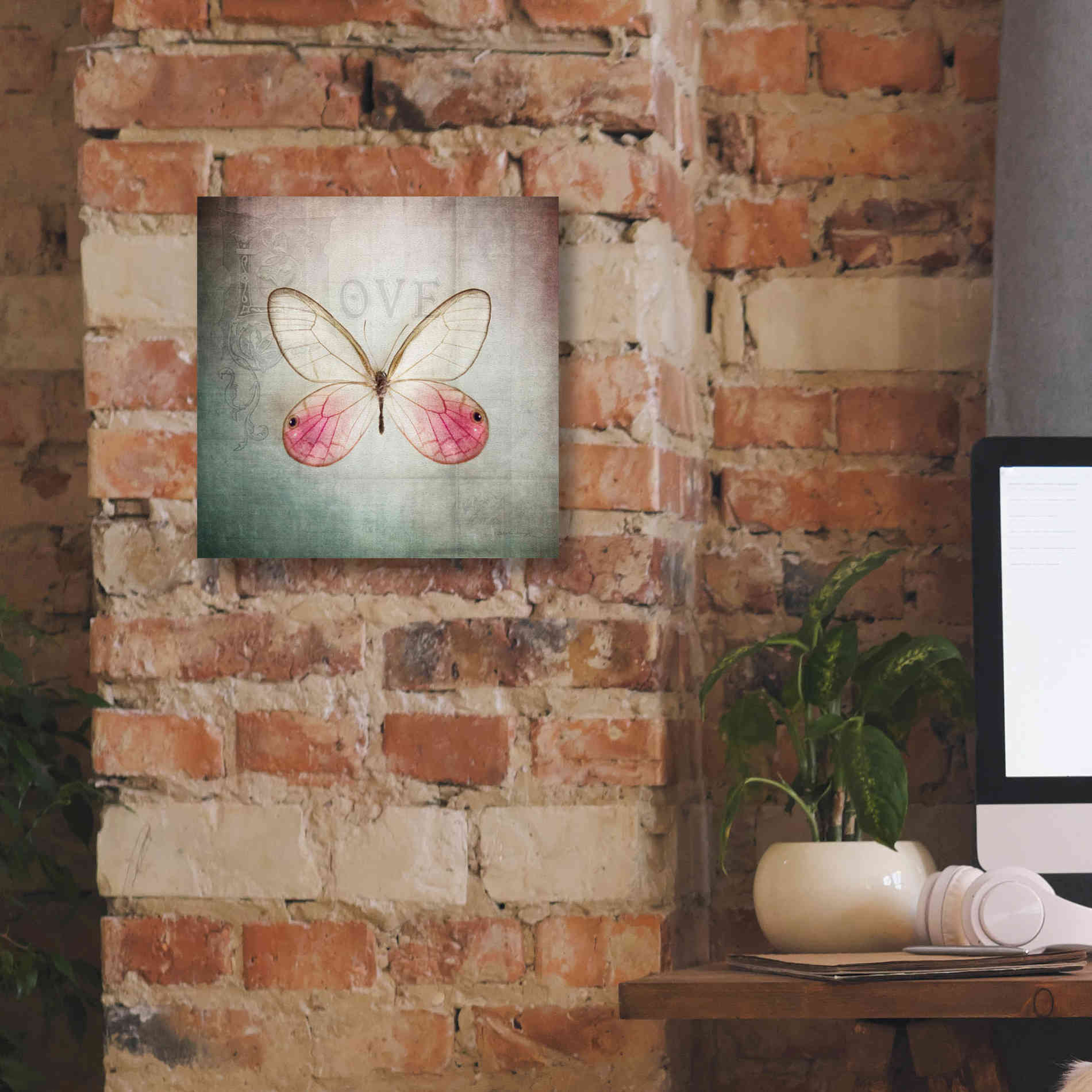 'French Butterfly I' by Debra Van Swearingen, Canvas Wall Art,12 x 12