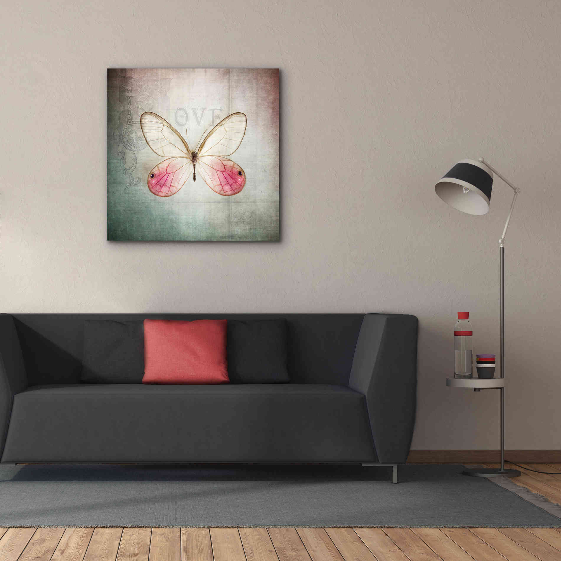 'French Butterfly I' by Debra Van Swearingen, Canvas Wall Art,37 x 37
