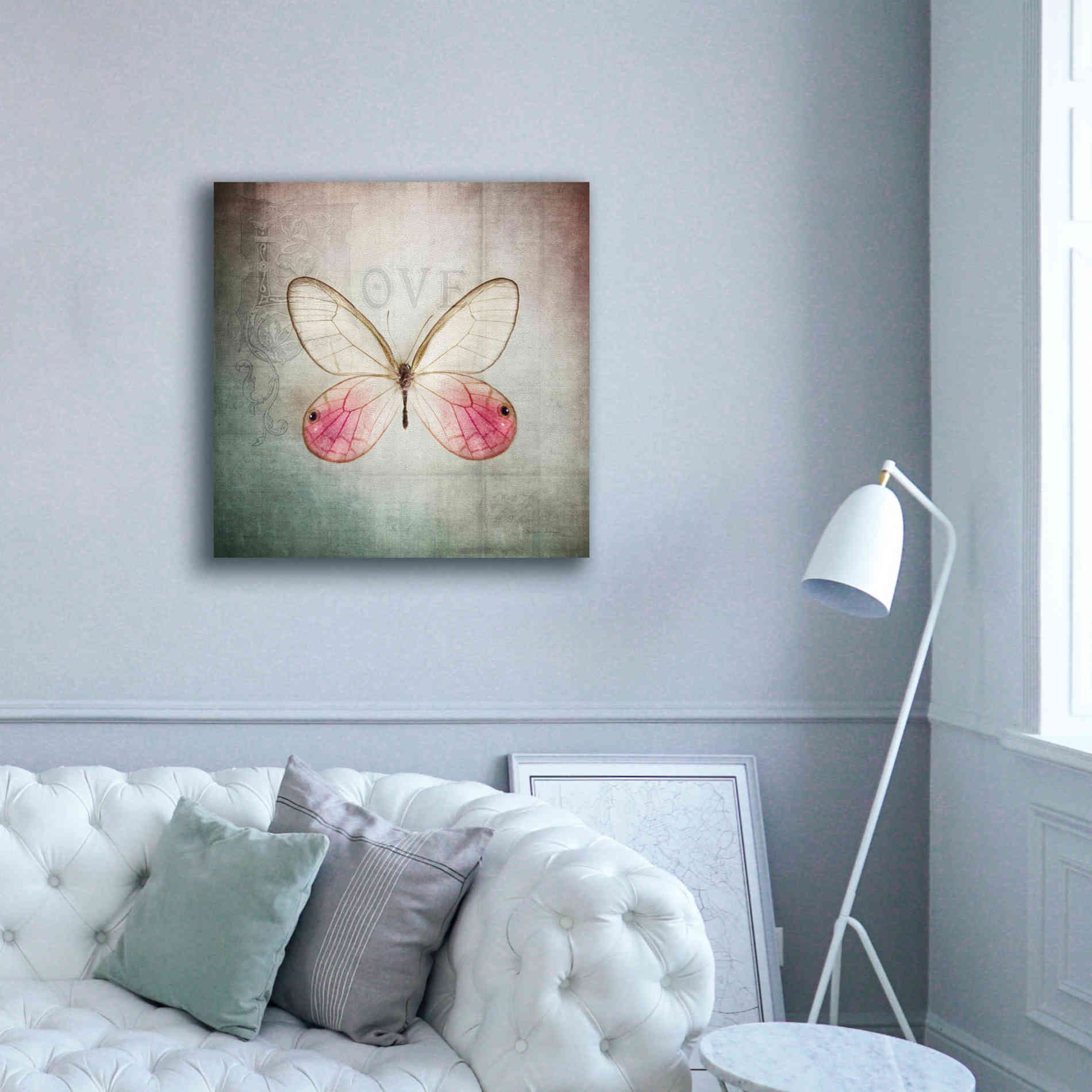'French Butterfly I' by Debra Van Swearingen, Canvas Wall Art,37 x 37