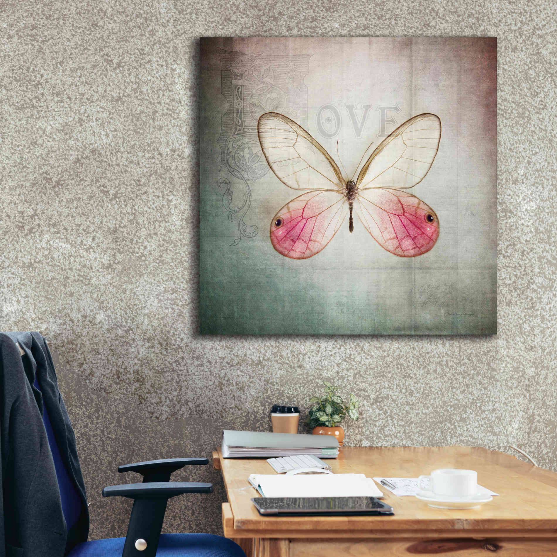 'French Butterfly I' by Debra Van Swearingen, Canvas Wall Art,37 x 37