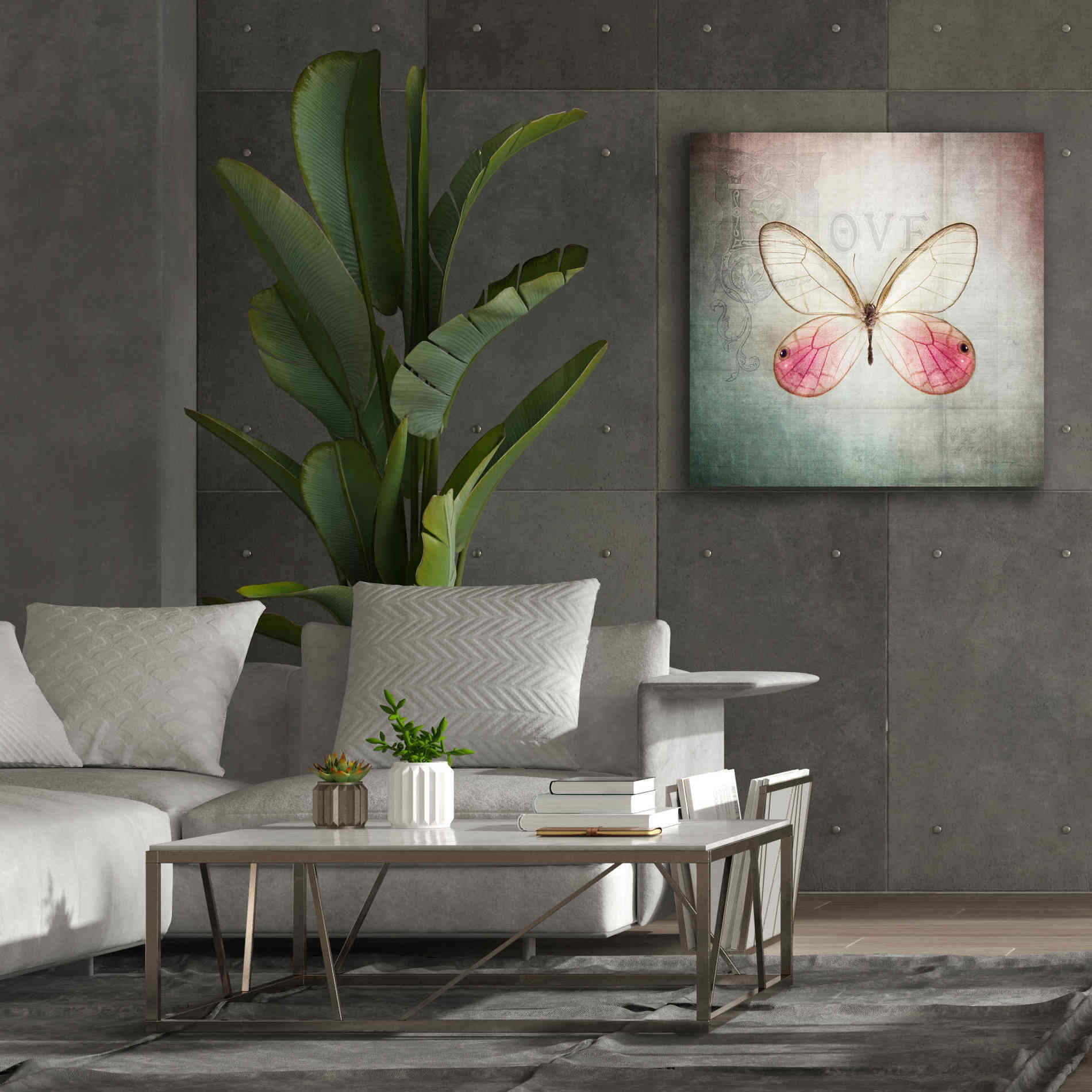 'French Butterfly I' by Debra Van Swearingen, Canvas Wall Art,37 x 37