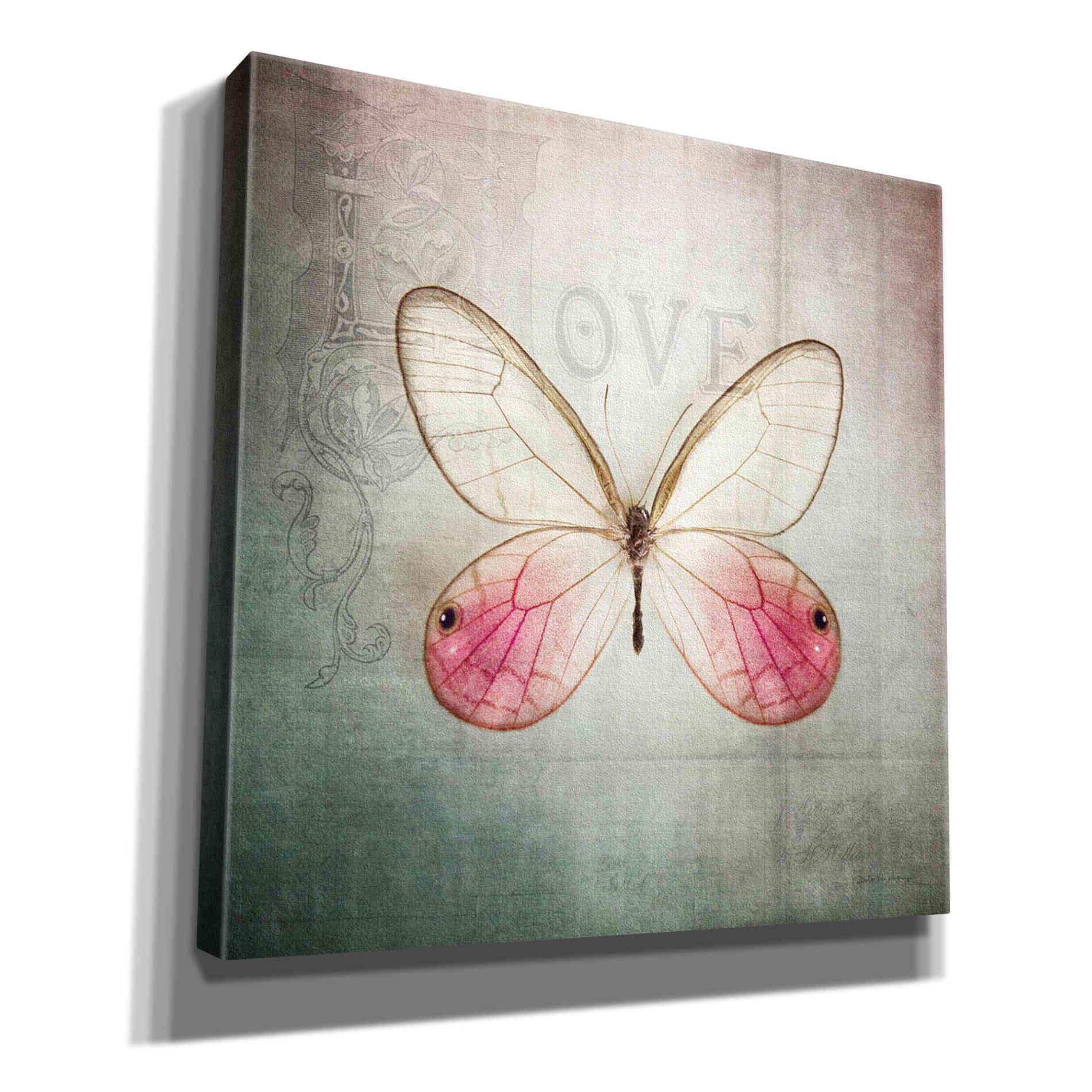 'French Butterfly I' by Debra Van Swearingen, Canvas Wall Art,12x12x1.1x0,18x18x1.1x0,26x26x1.74x0,37x37x1.74x0