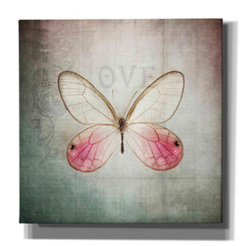 'French Butterfly I' by Debra Van Swearingen, Canvas Wall Art,12x12x1.1x0,18x18x1.1x0,26x26x1.74x0,37x37x1.74x0