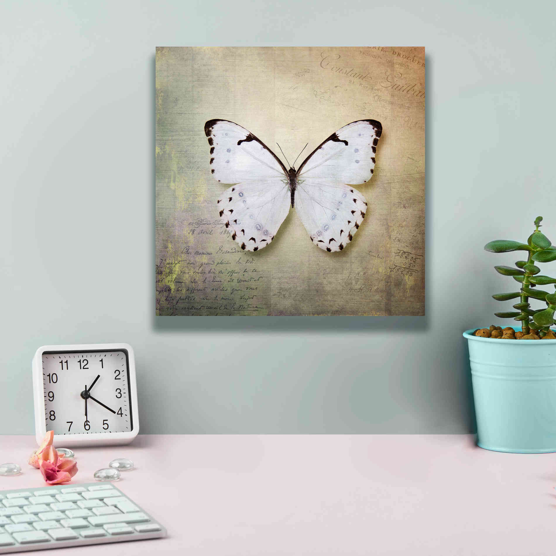 'French Butterfly II' by Debra Van Swearingen, Canvas Wall Art,12 x 12