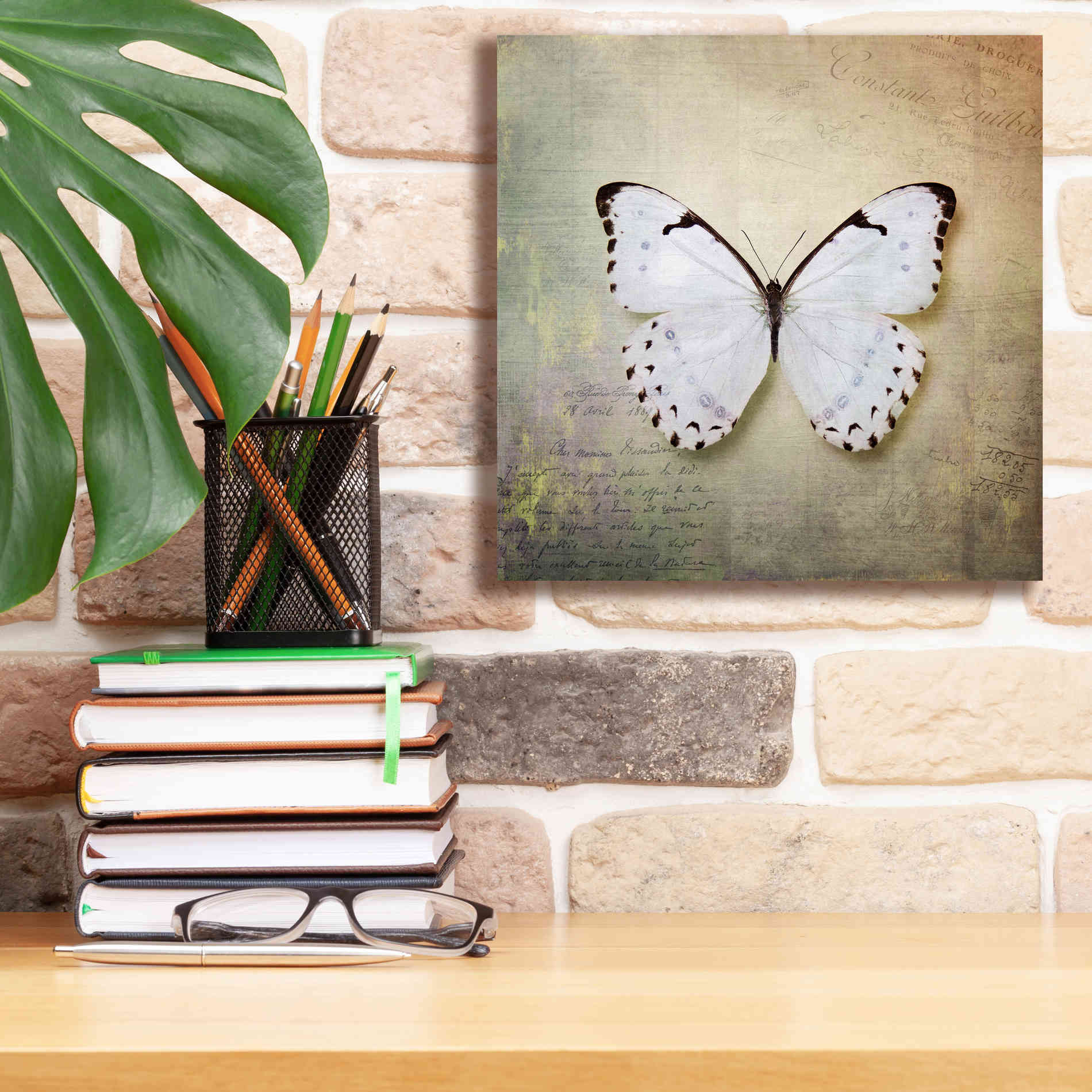 'French Butterfly II' by Debra Van Swearingen, Canvas Wall Art,12 x 12