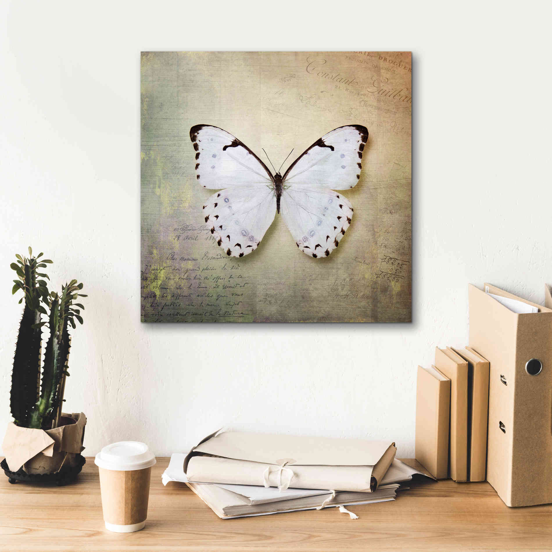 'French Butterfly II' by Debra Van Swearingen, Canvas Wall Art,18 x 18