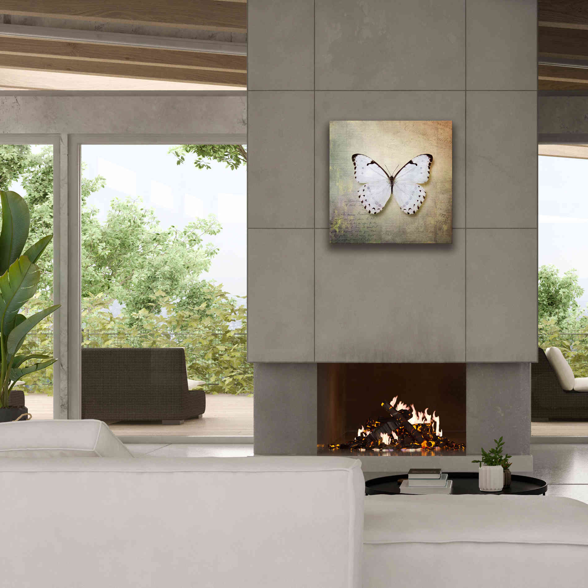 'French Butterfly II' by Debra Van Swearingen, Canvas Wall Art,26 x 26