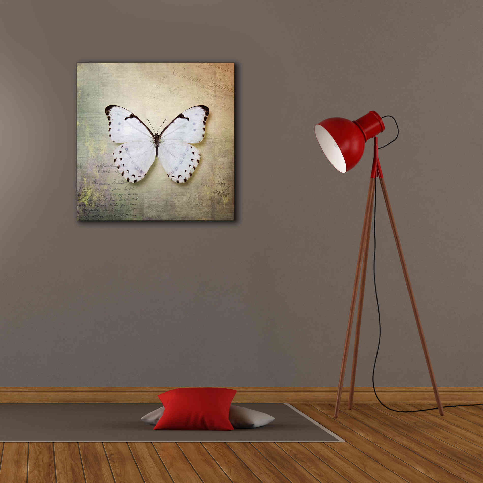 'French Butterfly II' by Debra Van Swearingen, Canvas Wall Art,26 x 26