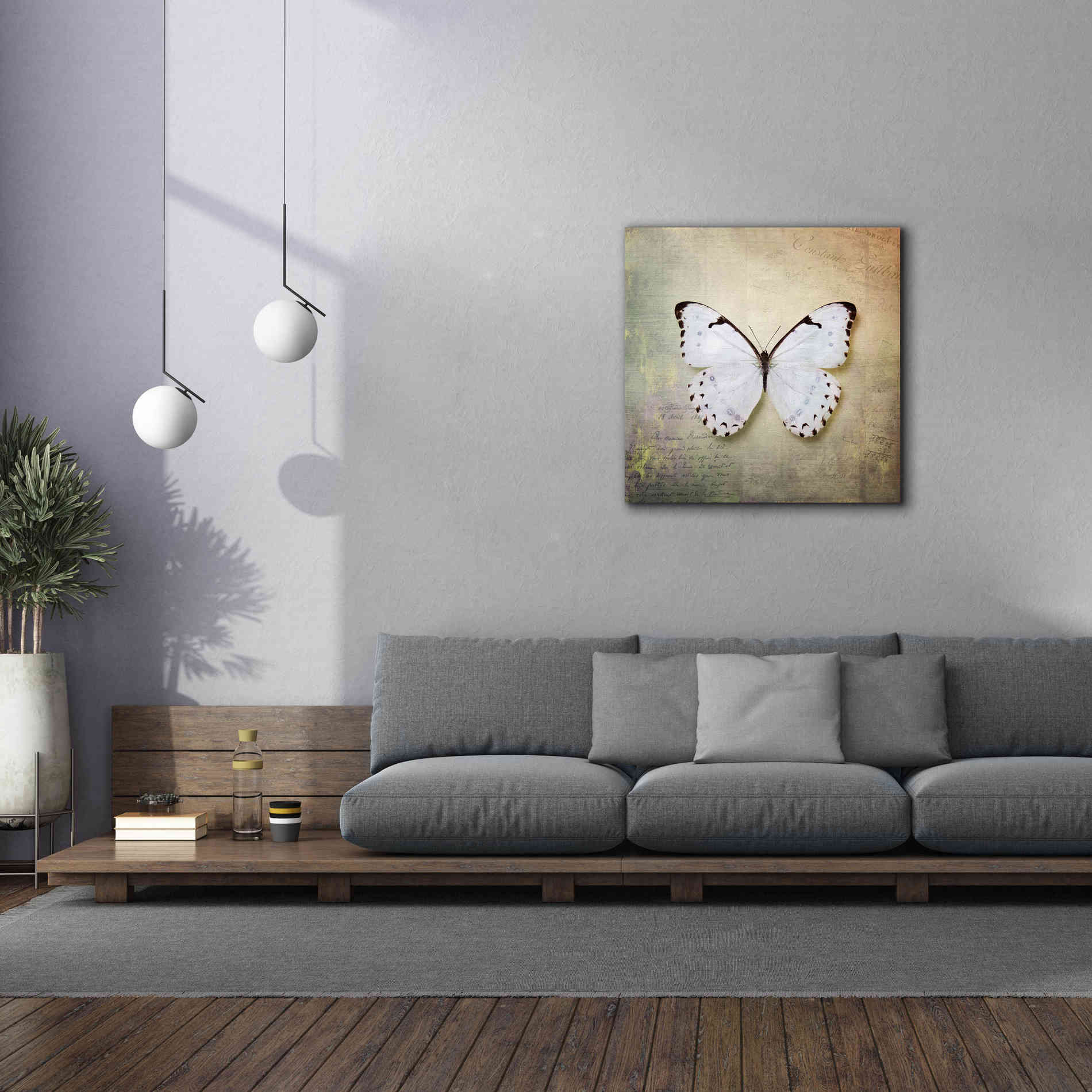 'French Butterfly II' by Debra Van Swearingen, Canvas Wall Art,37 x 37
