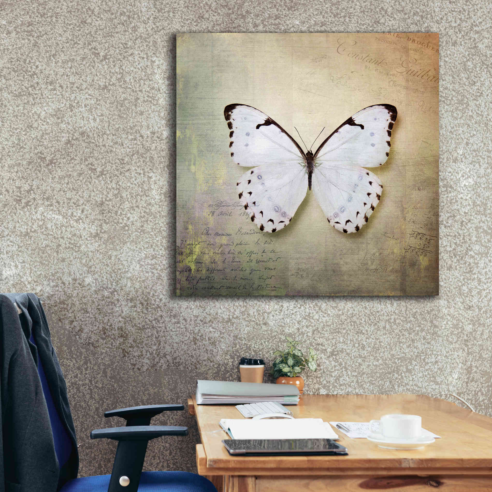 'French Butterfly II' by Debra Van Swearingen, Canvas Wall Art,37 x 37