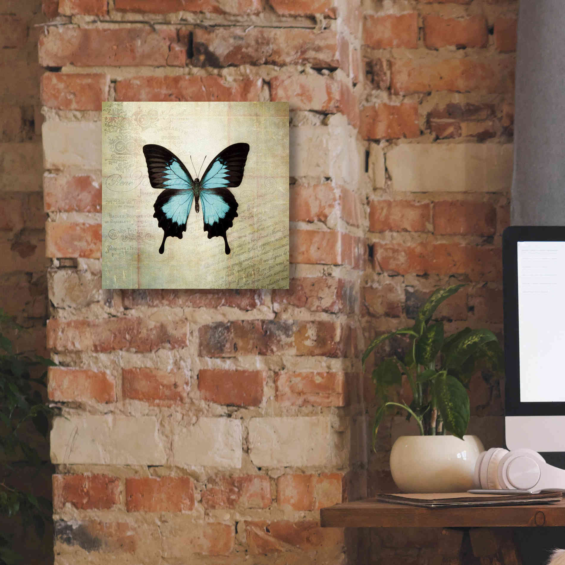 'French Butterfly III' by Debra Van Swearingen, Canvas Wall Art,12 x 12