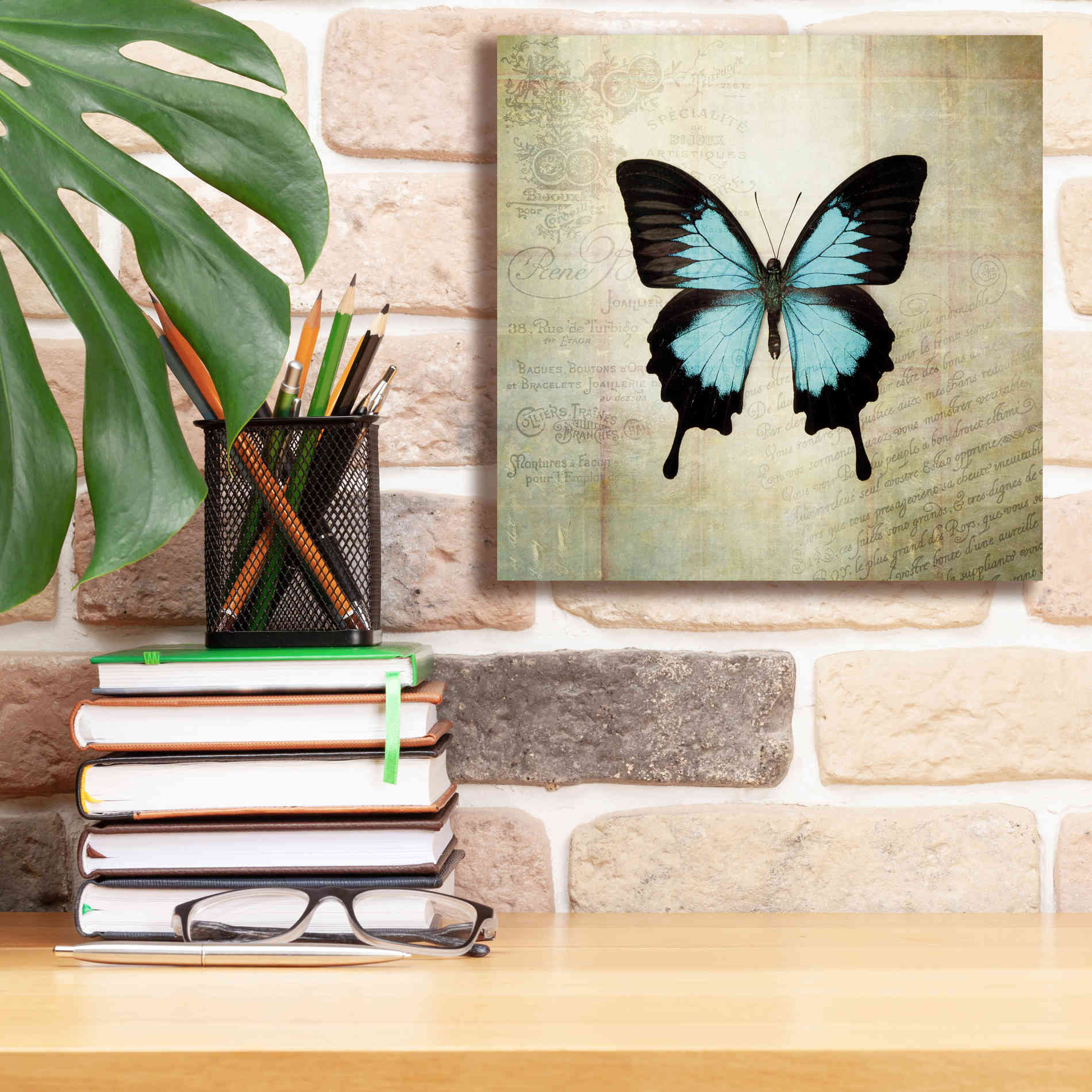 'French Butterfly III' by Debra Van Swearingen, Canvas Wall Art,12 x 12