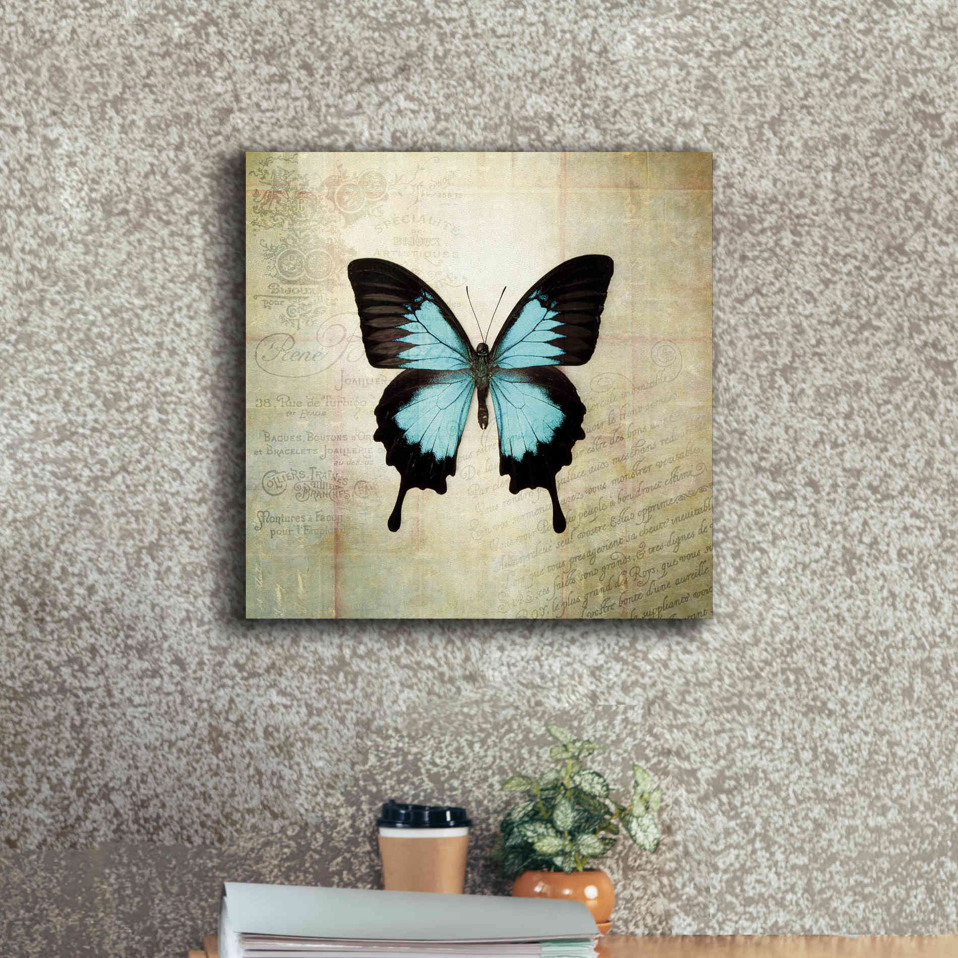 'French Butterfly III' by Debra Van Swearingen, Canvas Wall Art,18 x 18