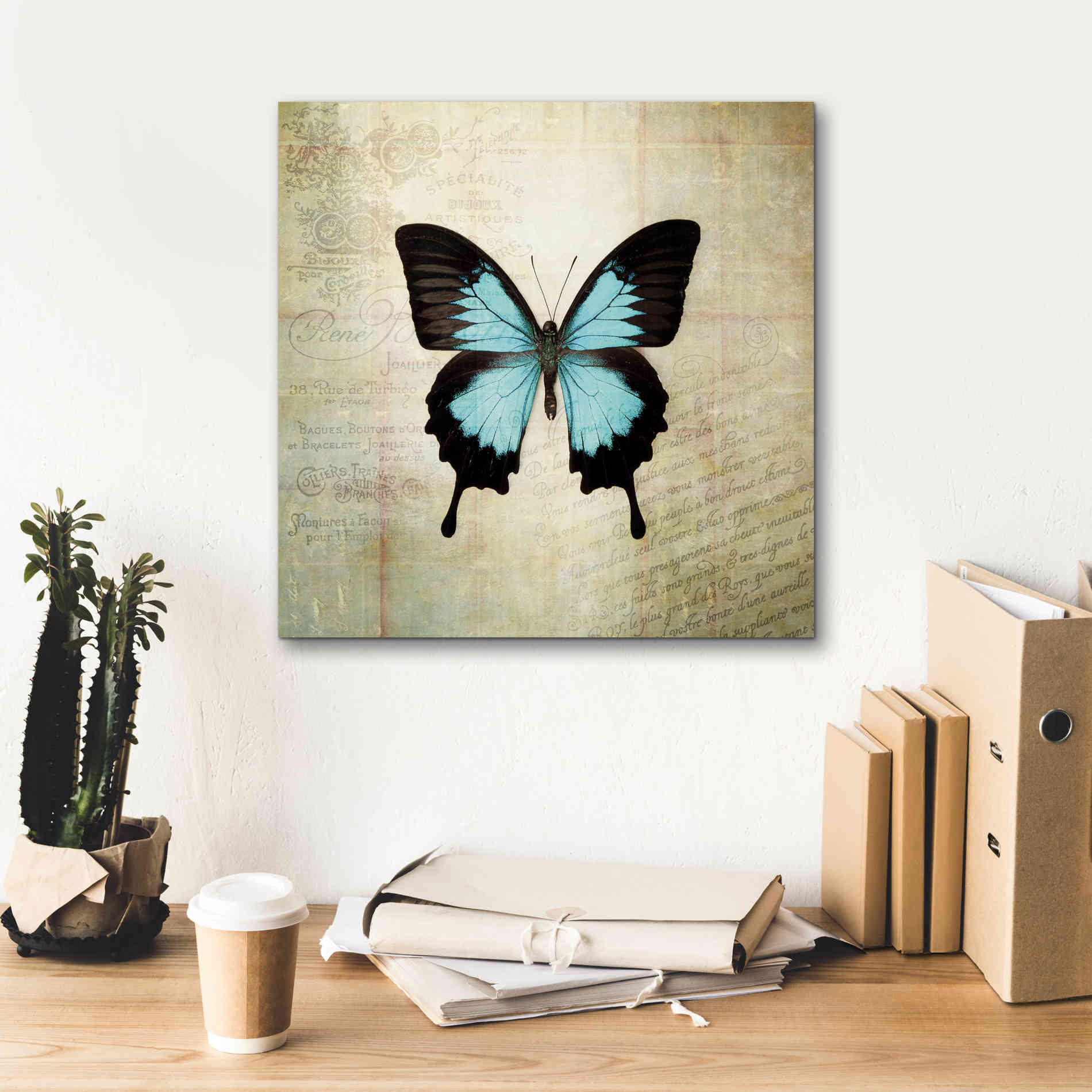 'French Butterfly III' by Debra Van Swearingen, Canvas Wall Art,18 x 18